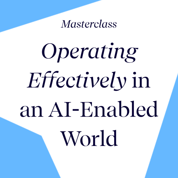 Operating Effectively in an AI-Enabled Role